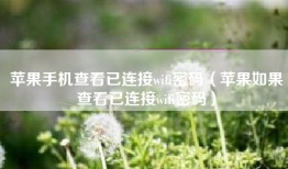 苹果手机查看已连接wifi密码（苹果如果查看已连接wifi密码）