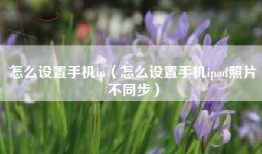 怎么设置手机ip（怎么设置手机ipad照片不同步）