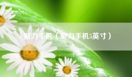 聚力手机（聚力手机5英寸）