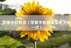 苹果手机验货（苹果手机验货宝多少钱一次）