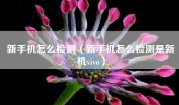 新手机怎么检测（新手机怎么检测是新机vivo）