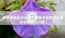 苹果手机购买记录（苹果手机购买记录待处理怎么付款）