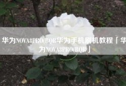 华为NOVA8PRO(BQR华为手机刷机教程「华为NOVA8PRO(BQR」