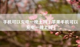 手机可以充电一晚上吗（苹果手机可以充电一晚上吗）