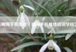 珠海手机维修（珠海手机维修培训学校）