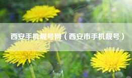 西安手机靓号网（西安市手机靓号）