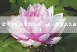 苹果手机备份怎么看（iphone备份怎么看）