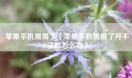 苹果手机黑屏了（苹果手机黑屏了开不了机怎么办）