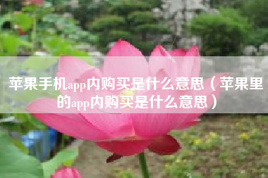 苹果手机app内购买是什么意思（苹果里的app内购买是什么意思）