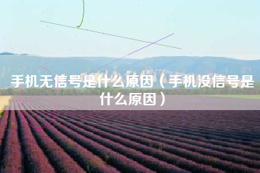 手机无信号是什么原因（手机没信号是什么原因）